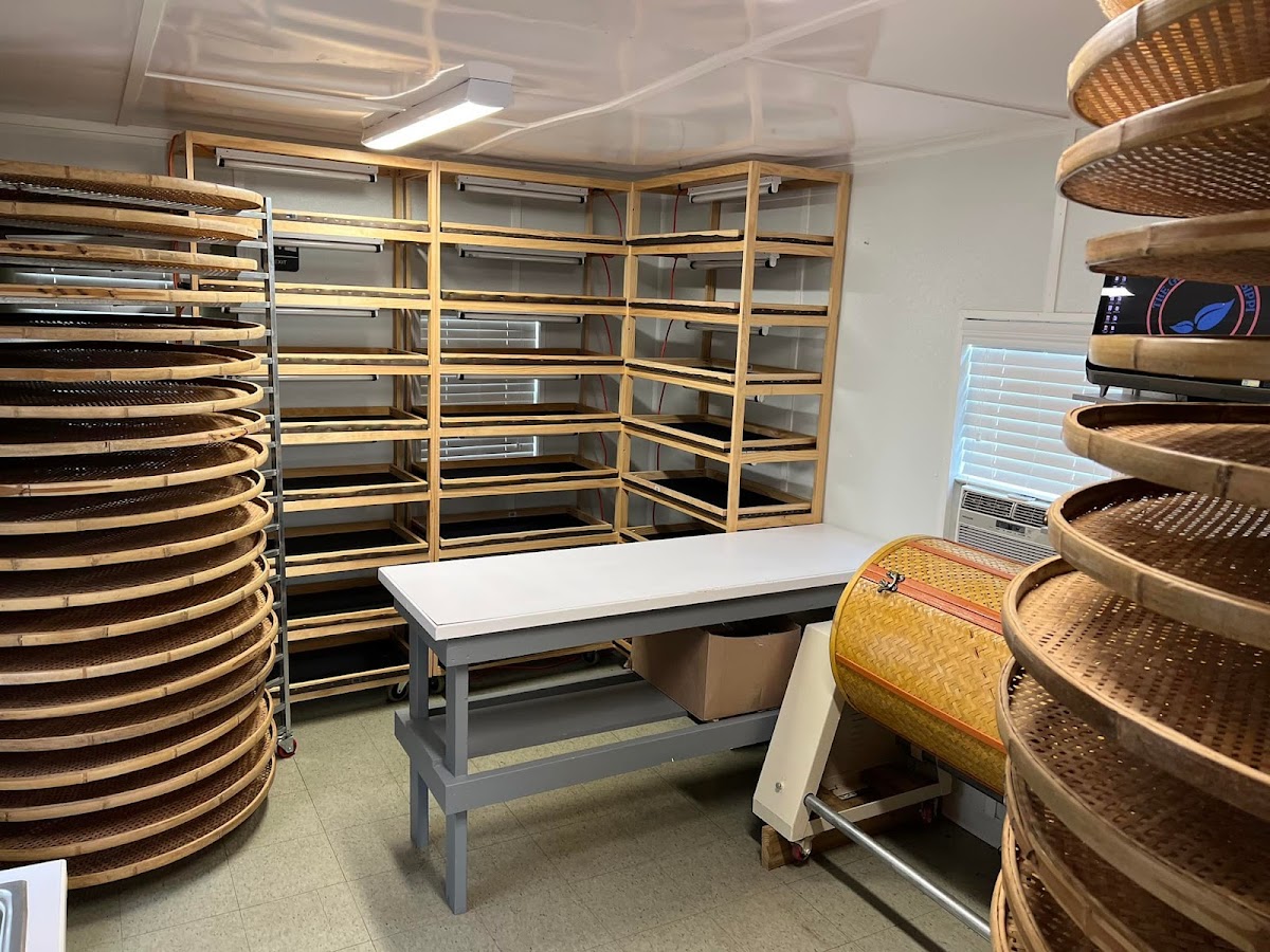 The Great Mississippi Tea Company